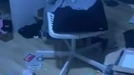 obstawiajcie ile czasu temu był robiony tu porządek