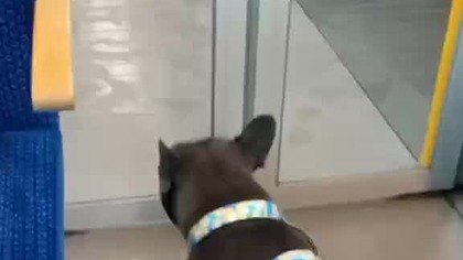 7a2c8103-1159-44c8-908c-d061b2e4f6ec