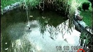 Alfabet. Mafii. S01E02. Masa.pl. PDTV. XviD-Brzydal. (osloskop. net