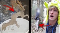 NAJDZIWNIEJSZE RZECZY znalezione przez YOUTUBERÓW! 35
