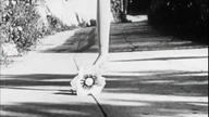 Sieci popołudnia (1943)