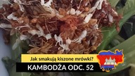 Kambodża - Jak smakują kiszone mrówki? (odc.  52)