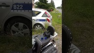 Czyja to zguba? Kto to tu porzucił? 