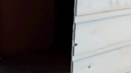 Czekamy na ptaszki  #permaculture #golebie #hodowlagolebi #egzotyka