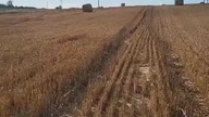 Po Żniwach.