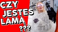 Czy jesteś prawdziwą damą?