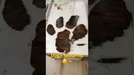 Też miewacie nietypowe realizacje ? :) #dog #footprint #woodworking #wood #woodworkingcommunity