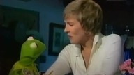 Muppet Show, czyli Rewia Gwiazd - Julie Andrews (Lektor PL)
