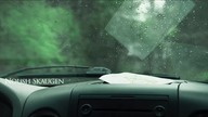 Hunt