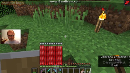 nasionka i drewno 6 (1414)