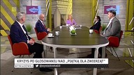 Dziambor: Oni się dogadają, NIE BĘDZIE nowych wyborów Koalicja PiS i Lewicy * Piątka dla Zwierząt
