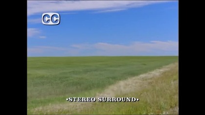 Viper Sezon 2 Odcinek 6 [Napisy]