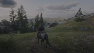 Red Dead Redemption 2 Arkadia dla Amatorów