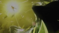 Strike the Blood 03 PL HD