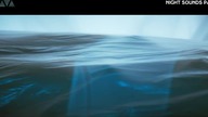 Calvin Harris & Disciples - How Deep Is Your Love (VIVA Polska) | Night Sounds Party
