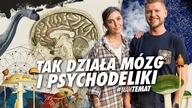 Co robić żeby dbać o mózg? Jak psychodeliki wpływają na mózg? | Dr Asia Podgórska #MamTemat 40