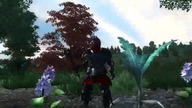 Some Oblivion Easter Eggs and other cool stuff