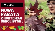 Nowa rabata z HORTENSJI dębolistnej +aktualizacja rabaty z traw ozdobnych  VLOG