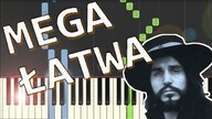 Sen o Warszawie (Czesław Niemen) - MEGA ŁATWA synthesia