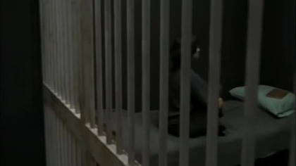 6 The Outer Limits.  21