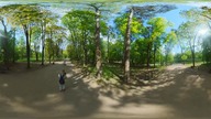 Aleja Ambientowa | spacer 360 | @tiktok. shotty @insta360