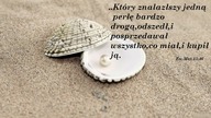 świadectwo Wojtka