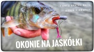 OKONIE NA JASKÓŁKI // 3 dni z @Bratkobaits // cześć 1