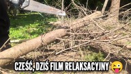 #280 Jak zrobić słupki pod tymczasowe ogrodzenie?