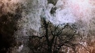 Zniewoleni [s01e07] pl