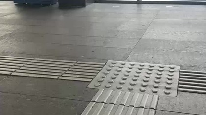 Piesek Secik oczekuję na InterCity :