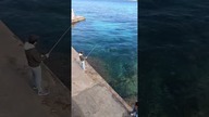 Nie czuję tego .... (Malta)