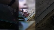 Akwarium z Lawą Nietypowy Projekt i Krewetki!