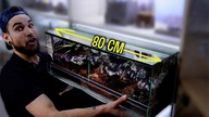 NAJWIĘKSZE TERRARIUM DLA NAJWIĘKSZEGO PTASZNIKA  Theraphosa blondi