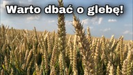 Dbanie o glebę się opłaca! Zmianowanie, międzyplony, bezorka.