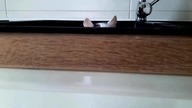 The best CAT PLUMBER on the planet!