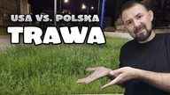 USA vs.  Polska - Trawa