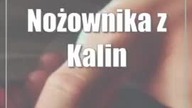 Nożownika z Kaliny czeka długa odsiadka