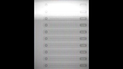 OSZUSTWO NA PRZEWÓZ OSÓB - WIŚNIA W AKCJI - TRANSPORT BLABLACAR BUSY NIEMCY BELGIA HOLANDIA UK