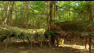 The. Island. With. Bear. Grylls. S01. Special. Surviving. The. Island. 480p. HDTV. x264-mSD