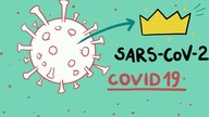 DINKSY explainer video about coronavirus for children.