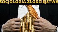 SOCJOLOGIA ZŁODZIEJSTWA w praktyce! Mechanizm rozkradania publicznych pieniędzy? | L.  Smyrski