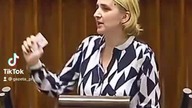 Szef wszystkich szefów - Terlecki