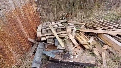 Buduję gołębnik dla tygrysów i pocztowych