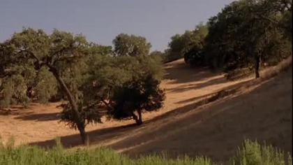 Anioł zemsty - 2007 - Western Lektor pl