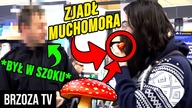 CZY MUCHOMORY SĄ ŚMIERTELNE? (EKSPERYMENT SPOŁECZNY)