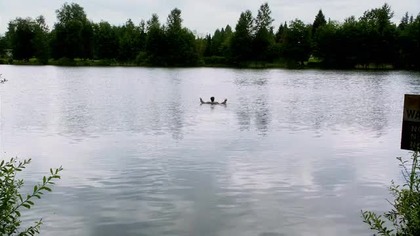 Supernatural - S07E11 Lektor PL