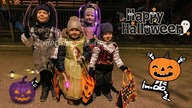 HALLOWEEN 2019 | CMENTARZ PO ZMROKU | DLM