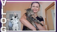 RENOWACJA DRAPAKA  rita vlog