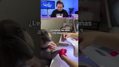 NIE RÓBCIE TEGO SWOIM PUPILOM!