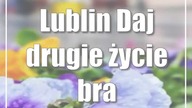 Lublin: Daj drugie życie bratkom!